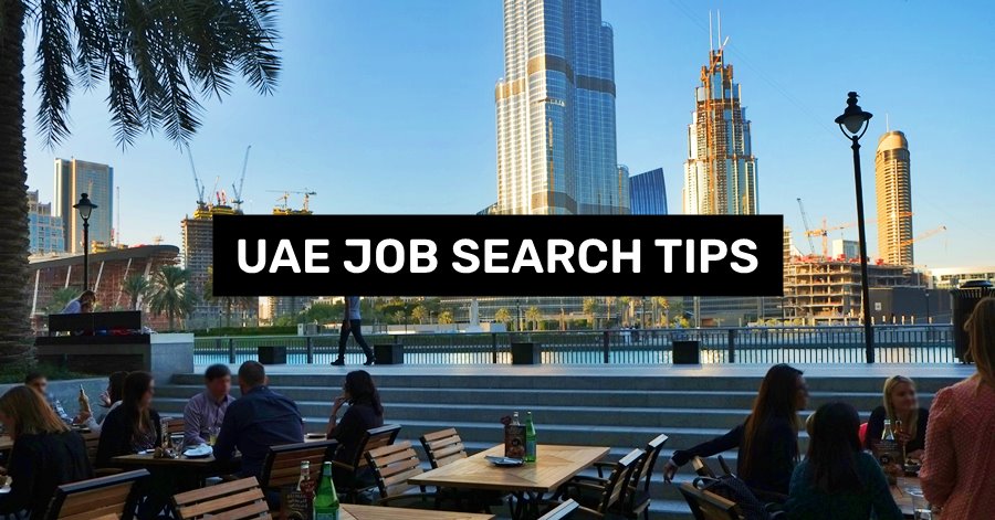 uae job search tips